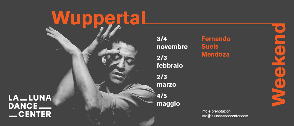 banner-newsleter_fernando